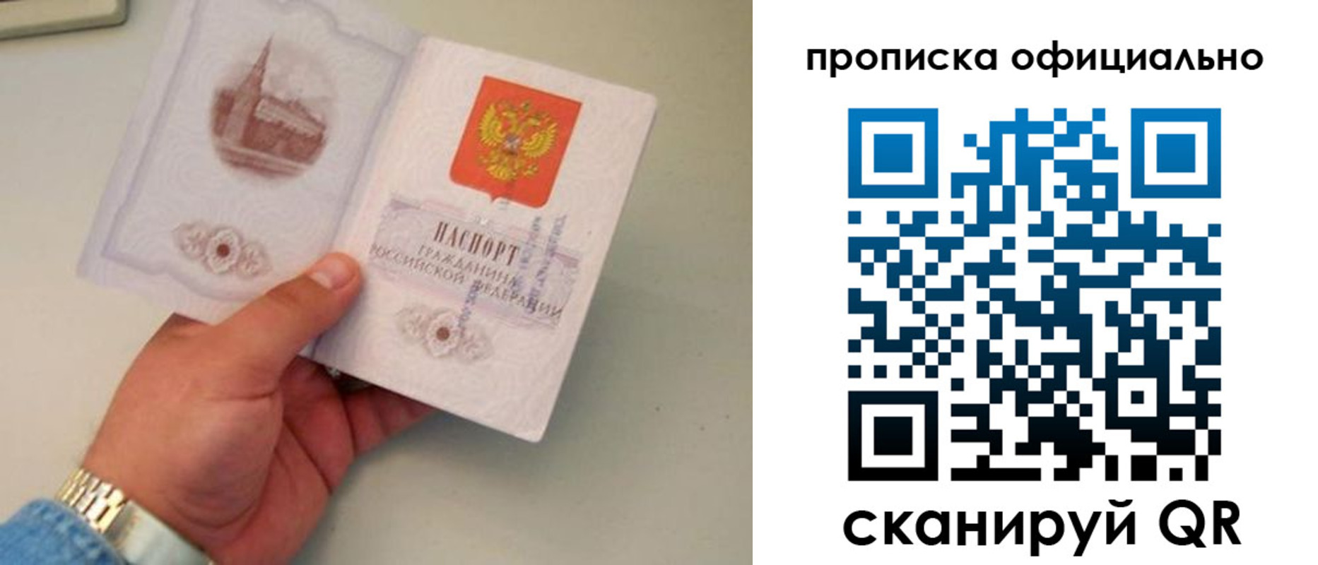 где прописаться в Павловском Посаде